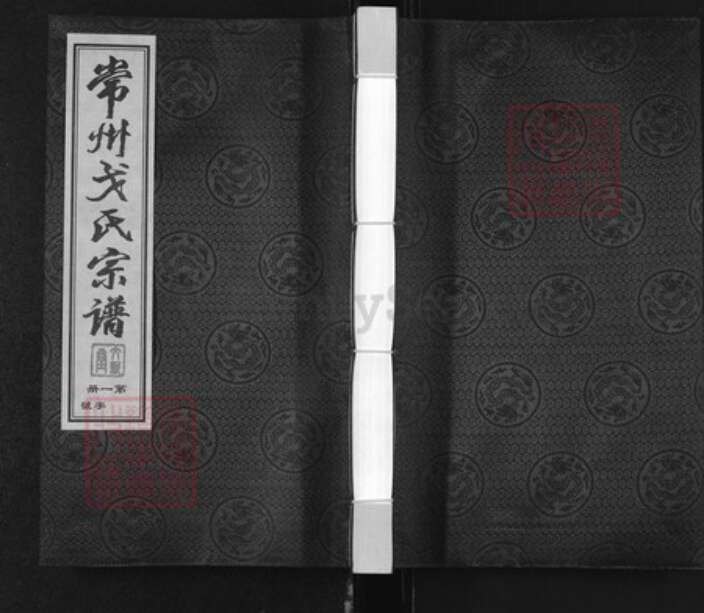 江苏省常州市武进县洛阳镇戈氏文新堂族谱-常州戈氏宗谱.pdf电子版
