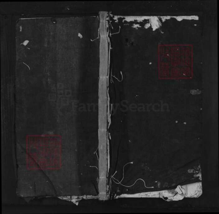 江西省抚州市南丰县傅坊乡王氏族谱-王氏宗谱.pdf电子版缩略图