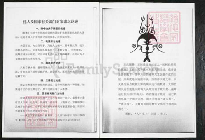 山东省日照市莒县阎庄镇王氏三槐堂族谱-三槐堂小河王氏族谱.pdf电子版预览图4