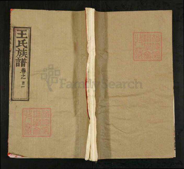 湖北省黄冈市黄州区王氏三槐堂族谱-阜村王氏族谱.pdf电子版缩略图