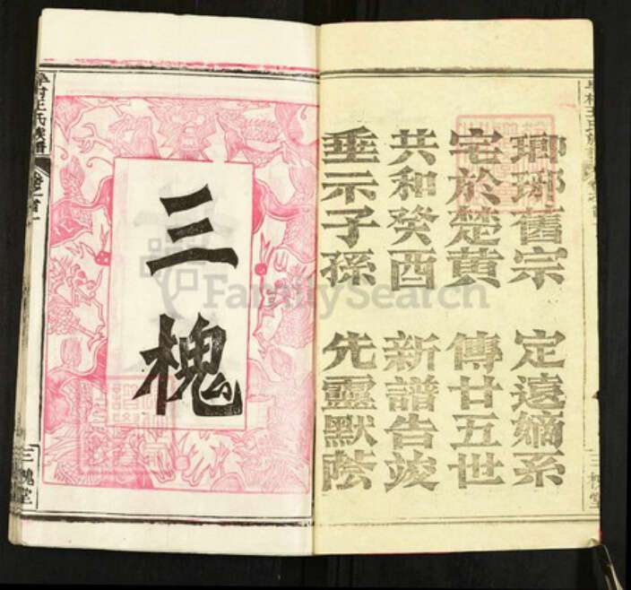 湖北省黄冈市黄州区王氏三槐堂族谱-阜村王氏族谱.pdf电子版预览图2