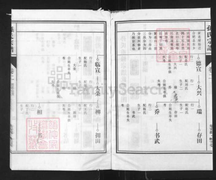 安徽省合肥市肥东县店端口镇孙氏映雪堂族谱-孙氏三修宗谱.pdf电子版预览图2