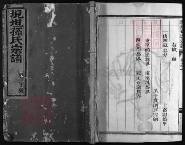 浙江省孙氏族谱-垷坦孙氏宗谱.pdf电子版缩略图