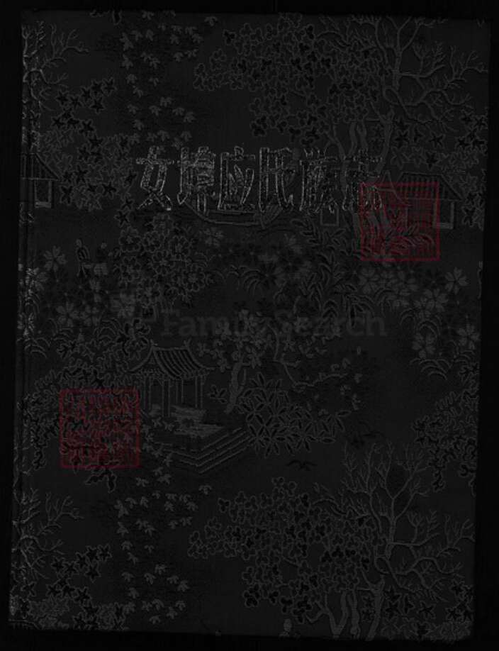 浙江省应氏族谱-女端口应氏族志[1卷].pdf电子版缩略图