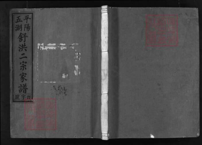 浙江省舒氏族谱-平阳五湖舒洪二宗家谱 [卷数混乱].pdf电子版缩略图