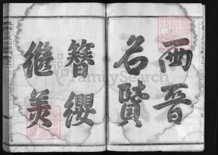 浙江省金华市义乌市义乌浙江省金华市金华王氏族谱-凤林王氏宗谱[12卷].pdf电子版预览图2