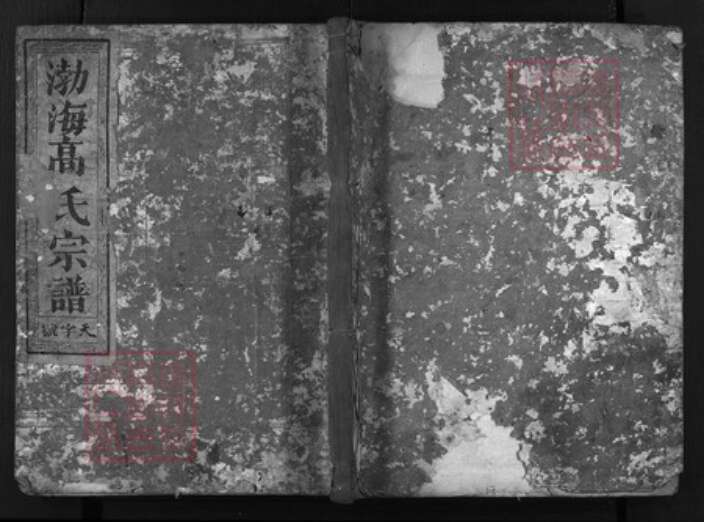 浙江省金华市高氏族谱-渤海高氏宗谱[3卷].pdf电子版缩略图