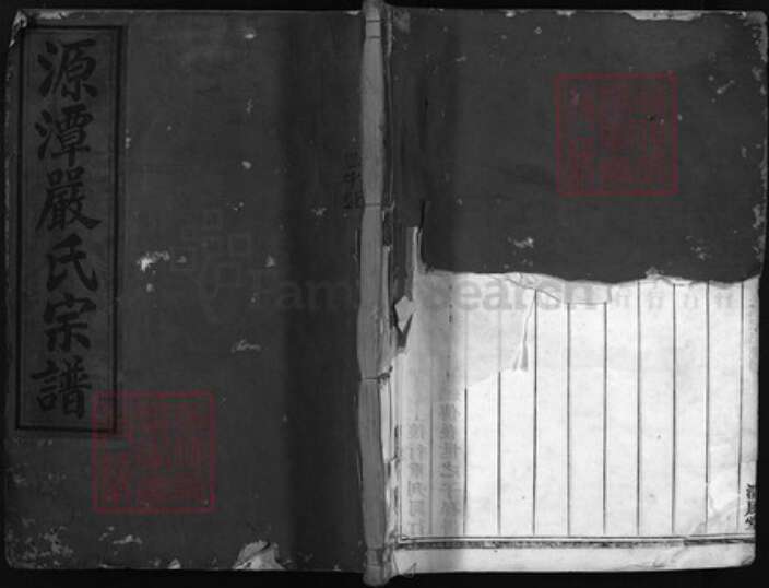 浙江省严氏族谱-源潭严氏宗谱 [2卷, 行传6卷, 世系8卷].pdf电子版缩略图