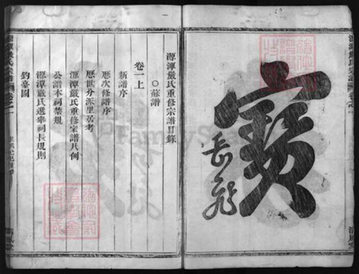 浙江省严氏族谱-源潭严氏宗谱 [2卷, 行传6卷, 世系8卷].pdf电子版预览图2