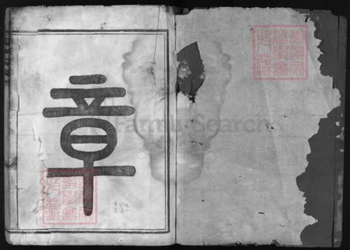 浙江省金华市章氏族谱-章氏宗谱[8卷].pdf电子版预览图1