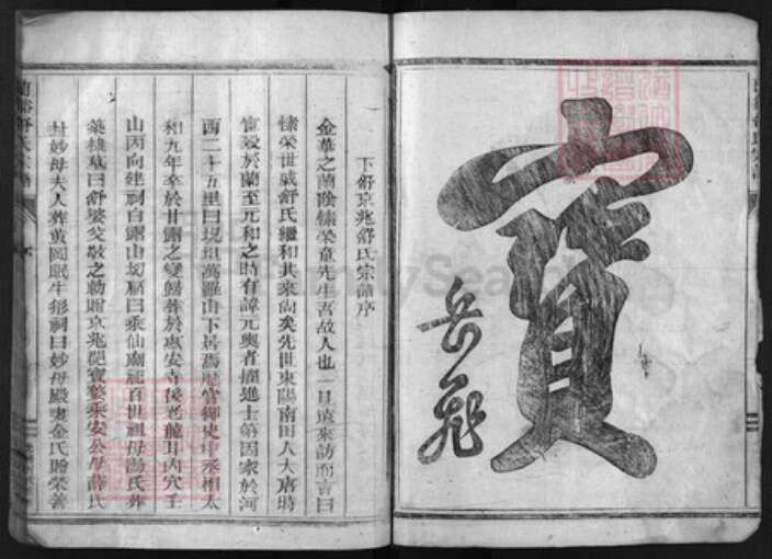 浙江省舒氏族谱-兰谿舒氏宗谱 [不分卷].pdf电子版预览图2