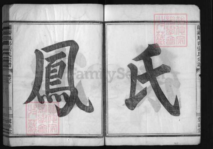 浙江省张氏族谱-兰谿凤山张氏宗谱[4卷].pdf电子版预览图2