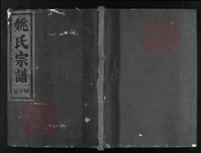 浙江省姚氏族谱-郡马遗芳姚氏宗谱[6卷].pdf电子版缩略图