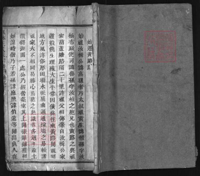 浙江省金华市义乌市义乌王氏族谱-凤林王氏大宗谱[4卷].pdf电子版缩略图