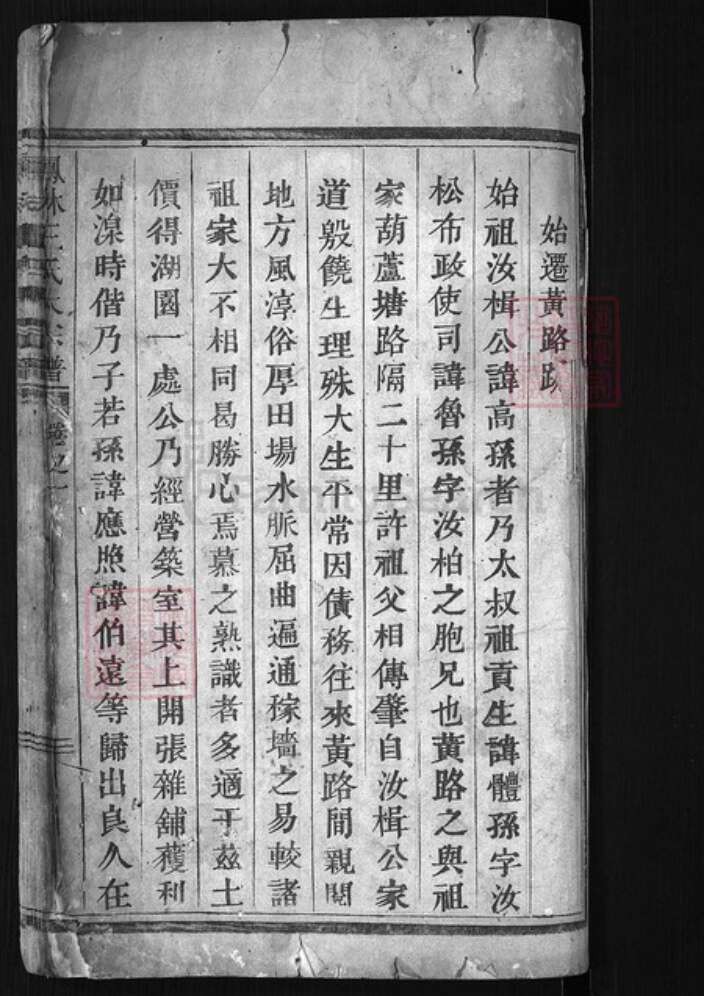 浙江省金华市义乌市义乌王氏族谱-凤林王氏大宗谱[4卷].pdf电子版预览图1