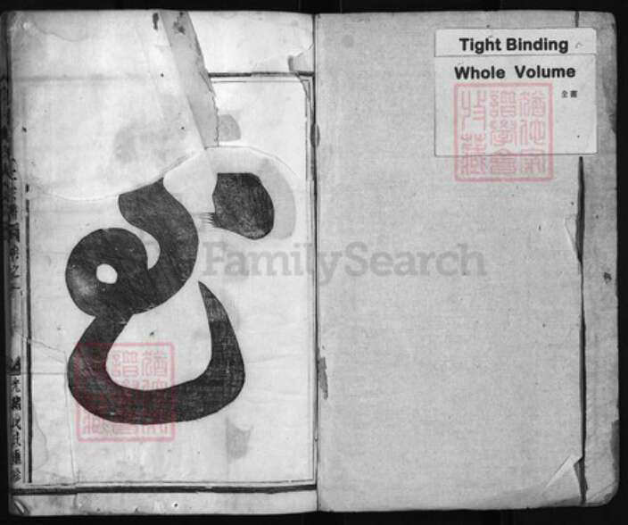 浙江省金华市义乌市义乌王氏族谱-凤林王氏大宗谱 [8卷].pdf电子版预览图1