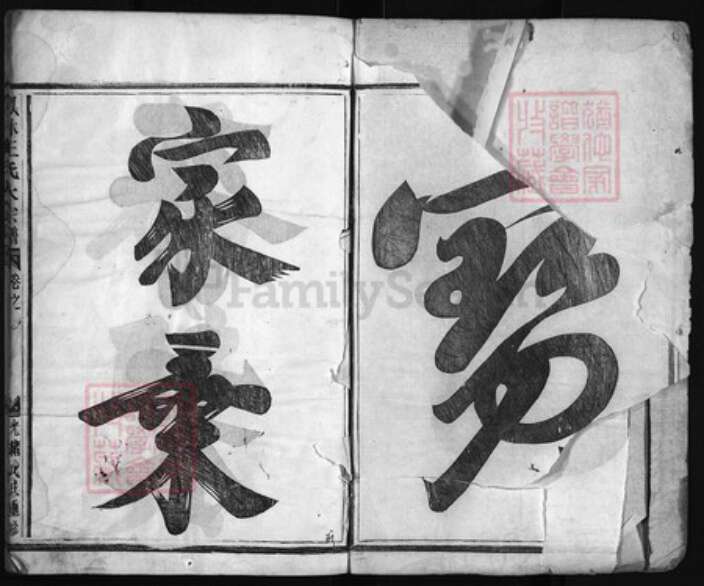 浙江省金华市义乌市义乌王氏族谱-凤林王氏大宗谱 [8卷].pdf电子版预览图2