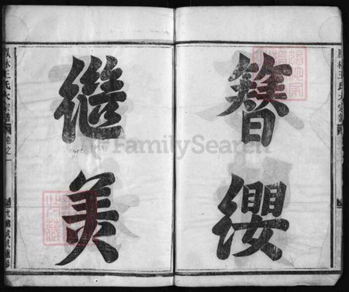 浙江省金华市义乌市义乌王氏族谱-凤林王氏大宗谱 [8卷].pdf电子版预览图4