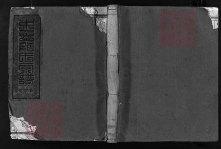 浙江省郎氏族谱-东鲁郎氏宗谱 [9卷].pdf电子版