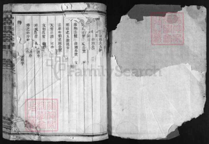 浙江省郎氏族谱-东鲁郎氏宗谱 [9卷].pdf电子版预览图1