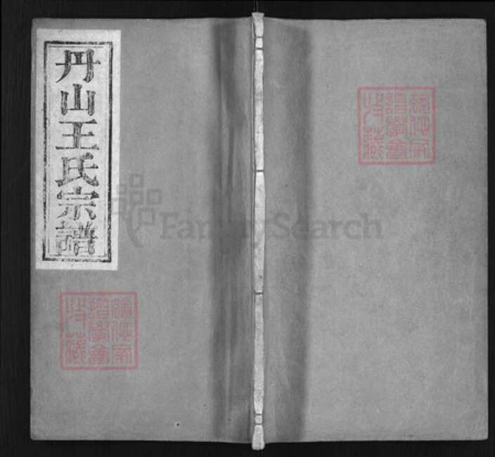 浙江省王氏族谱-丹山王氏宗谱 [18卷, 首末各1卷].pdf电子版缩略图