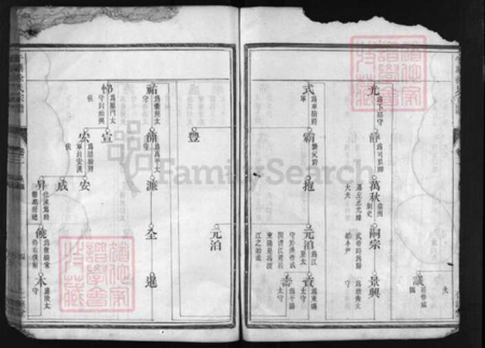 浙江省徐氏族谱-午塘徐氏宗谱 [残卷].pdf电子版预览图2