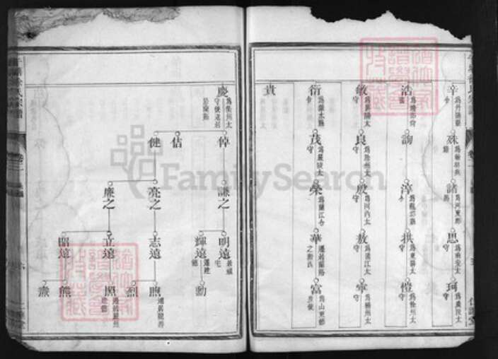 浙江省徐氏族谱-午塘徐氏宗谱 [残卷].pdf电子版预览图4