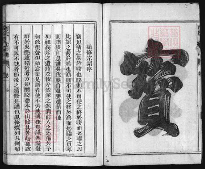 浙江省丁氏族谱-丁氏宗谱 [4卷].pdf电子版预览图2