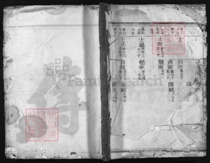 浙江省衢州龙游县张氏族谱-张氏宗谱 [3卷].pdf电子版缩略图
