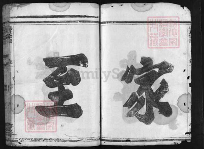 浙江省衢州龙游县张氏族谱-张氏宗谱 [3卷].pdf电子版预览图2