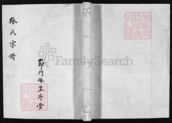浙江省张氏族谱-张氏宗谱 [卷数不详].pdf电子版缩略图