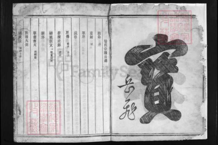 浙江省张氏族谱-张氏宗谱 [卷数不详].pdf电子版预览图3