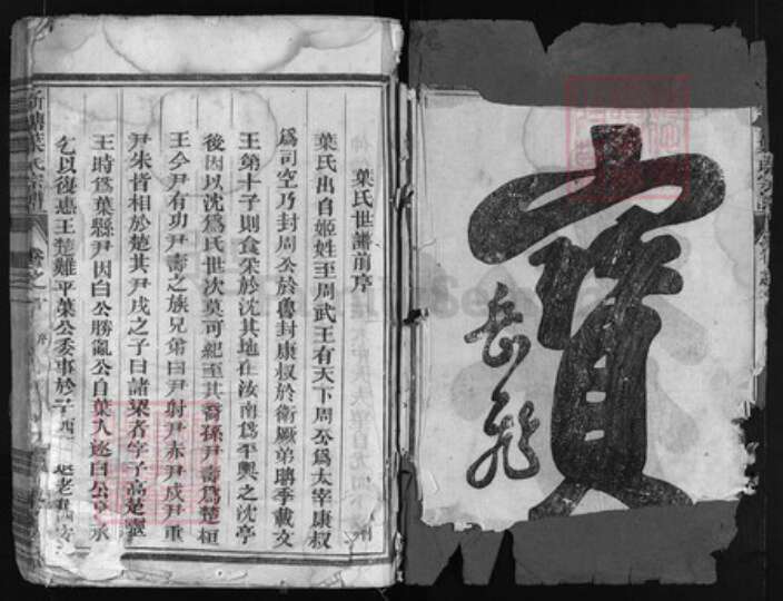 浙江省叶氏族谱-新塘叶氏宗谱 [残卷].pdf电子版预览图2