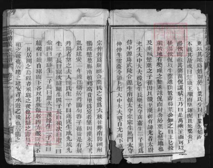 浙江省叶氏族谱-新塘叶氏宗谱 [残卷].pdf电子版预览图3