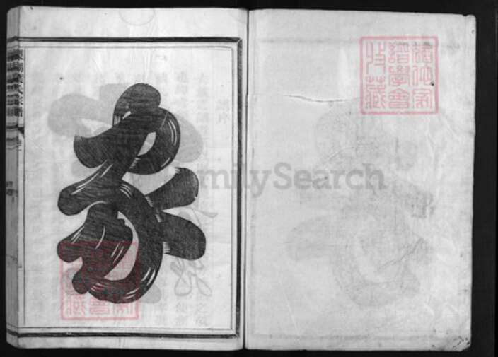 浙江省叶氏族谱-梨湖叶氏宗谱 [3卷].pdf电子版预览图1