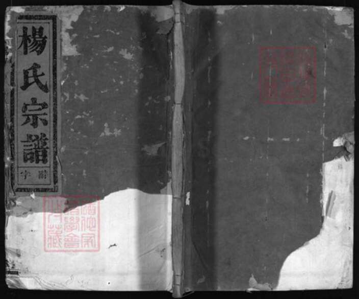 浙江省杨氏族谱-杨氏宗谱 [4卷].pdf电子版缩略图