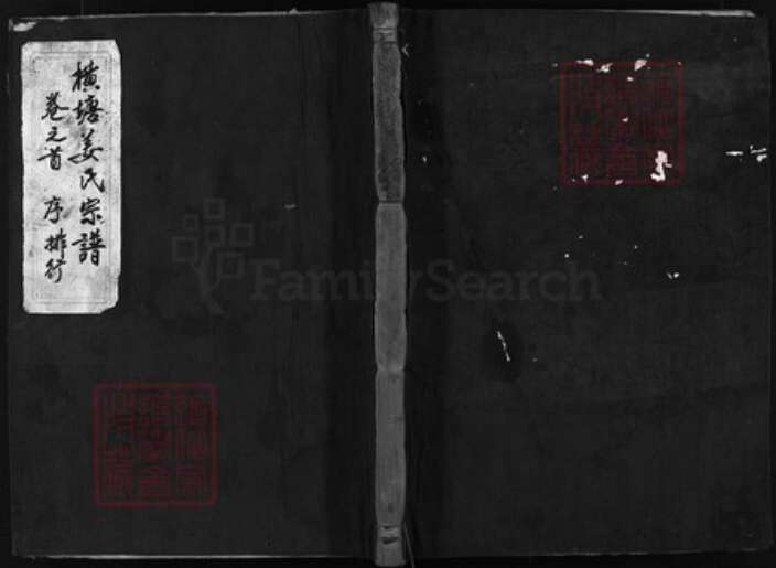 浙江省姜氏族谱-横塘姜氏宗谱 [残卷].pdf电子版缩略图