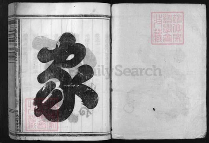 浙江省吴氏族谱-泰仁吴氏宗谱 [8卷].pdf电子版预览图1