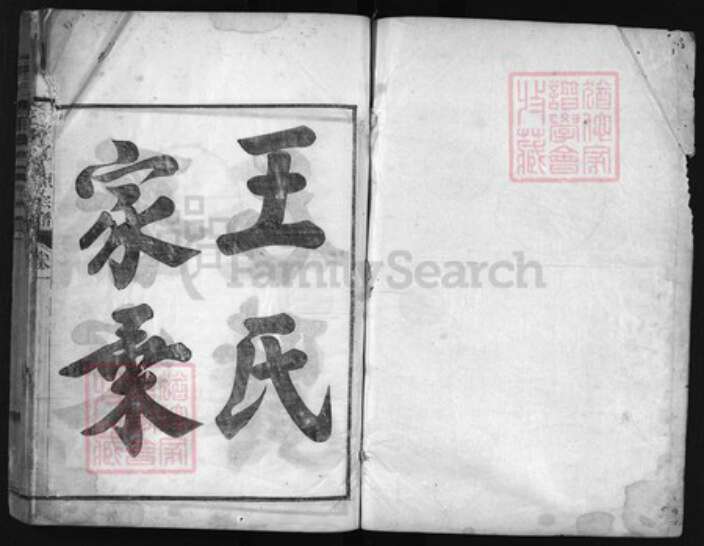 浙江省王氏族谱-瀫西畈洋王氏宗谱 [8卷].pdf电子版预览图1