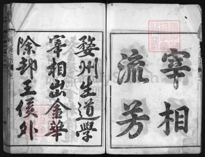 浙江省王氏族谱-瀫西畈洋王氏宗谱 [8卷].pdf电子版预览图4