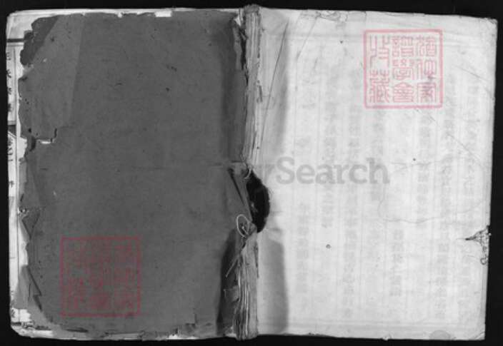 浙江省王氏族谱-王氏宗谱 [4卷].pdf电子版缩略图