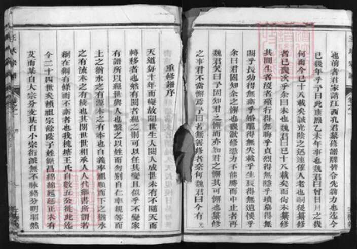 浙江省王氏族谱-王氏宗谱 [4卷].pdf电子版预览图4