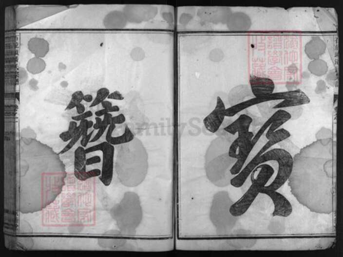 浙江省潘氏族谱-石龙头潘氏宗谱 [3卷].pdf电子版预览图2