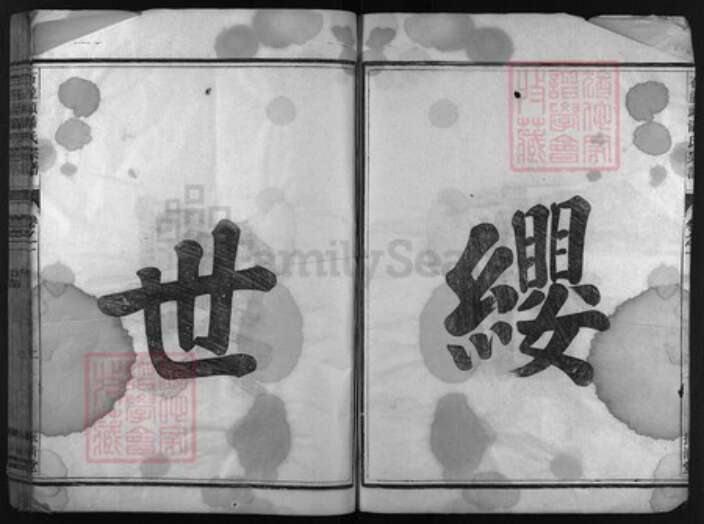 浙江省潘氏族谱-石龙头潘氏宗谱 [3卷].pdf电子版预览图3