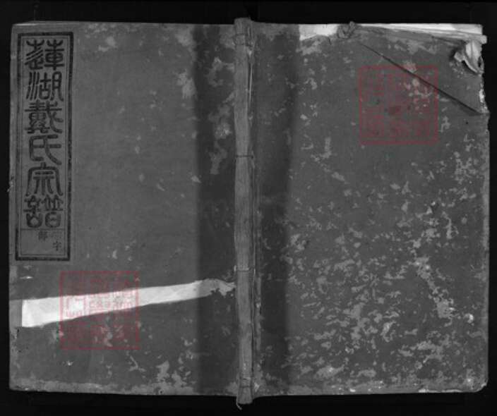 浙江省戴氏族谱-莲湖戴氏宗谱 [4卷,世系3册,行传11卷].pdf电子版缩略图