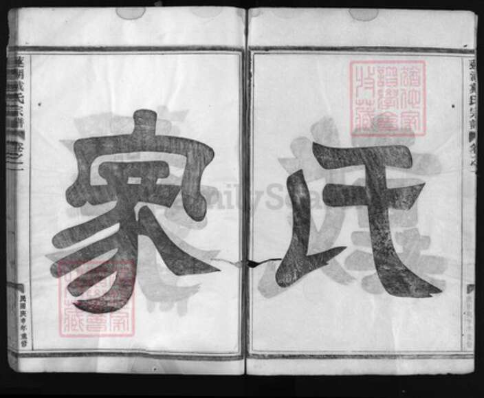 浙江省戴氏族谱-莲湖戴氏宗谱 [4卷,世系3册,行传11卷].pdf电子版预览图2