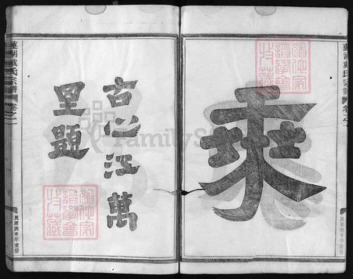 浙江省戴氏族谱-莲湖戴氏宗谱 [4卷,世系3册,行传11卷].pdf电子版预览图3