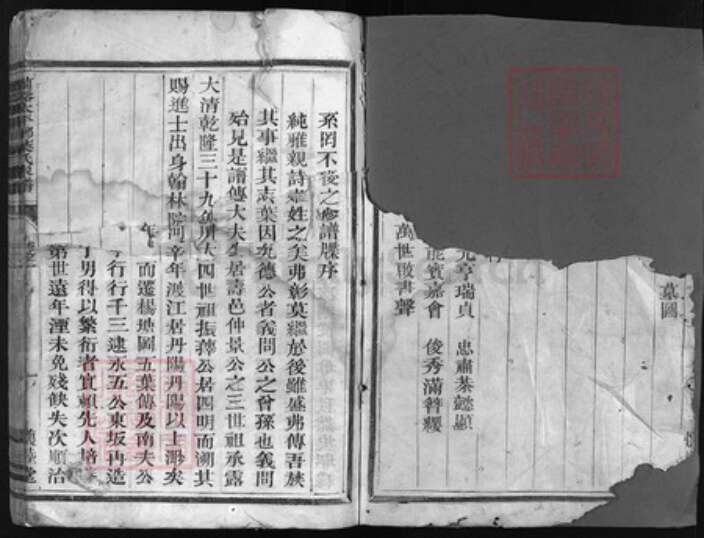 浙江省叶氏族谱-兰谿太平乡叶氏家谱 [残卷].pdf电子版预览图2