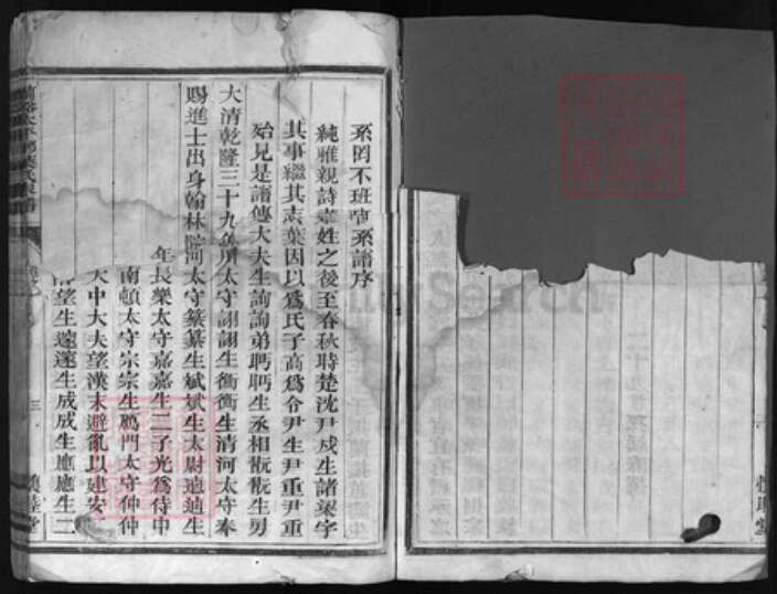 浙江省叶氏族谱-兰谿太平乡叶氏家谱 [残卷].pdf电子版预览图4