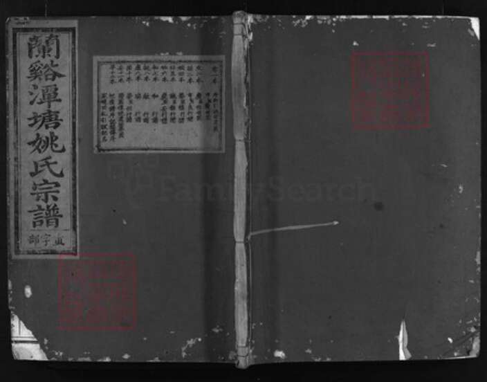 浙江省姚氏族谱-兰谿潭塘姚氏宗谱 [19卷,首末各1卷].pdf电子版缩略图